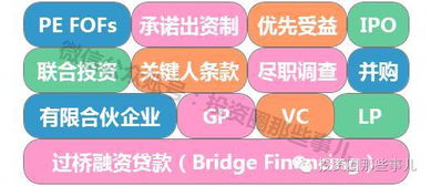 股權(quán)投資與投資管理 解讀現(xiàn)代資本運(yùn)作的雙翼